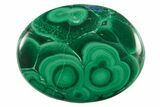1.7" Polished Malachite and Chrysocolla ("Malacolla") Pocket Stones - Photo 3
